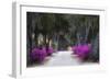 USA, Georgia, Savannah, Azaleas in Historic Bonaventure Cemetery-Joanne Wells-Framed Photographic Print