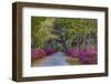 USA, Georgia, Savannah, Azaleas in Historic Bonaventure Cemetery-Joanne Wells-Framed Photographic Print