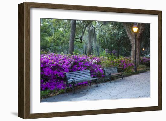 USA, Georgia, Savannah. Azaleas in the spring at Forsyth Park.-Joanne Wells-Framed Photographic Print