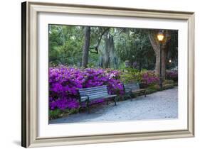 USA, Georgia, Savannah. Azaleas in the spring at Forsyth Park.-Joanne Wells-Framed Photographic Print