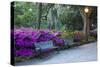 USA, Georgia, Savannah. Azaleas in the spring at Forsyth Park.-Joanne Wells-Stretched Canvas