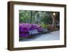 USA, Georgia, Savannah. Azaleas in the spring at Forsyth Park.-Joanne Wells-Framed Photographic Print