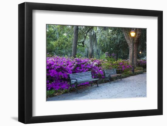 USA, Georgia, Savannah. Azaleas in the spring at Forsyth Park.-Joanne Wells-Framed Photographic Print