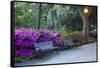 USA, Georgia, Savannah. Azaleas in the spring at Forsyth Park.-Joanne Wells-Framed Stretched Canvas