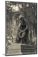 USA, Georgia, Savannah, Bonaventure Cemetery-Walter Bibikow-Mounted Photographic Print