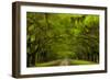 USA, Georgia, Savannah, Drive at Historic Wormsloe Plantation-Joanne Wells-Framed Photographic Print