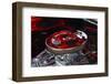 USA, Georgia, Savannah, Engine of a Car in Car Show-Joanne Wells-Framed Photographic Print