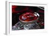 USA, Georgia, Savannah, Engine of a Car in Car Show-Joanne Wells-Framed Photographic Print