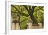 USA, Georgia, Savannah, Entrance to Wormsloe Plantation.-Joanne Wells-Framed Photographic Print