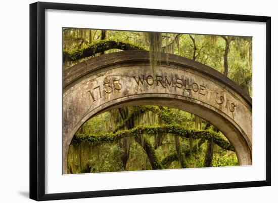 USA, Georgia, Savannah, Entrance to Wormsloe Plantation.-Joanne Wells-Framed Photographic Print