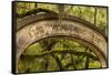 USA, Georgia, Savannah, Entrance to Wormsloe Plantation.-Joanne Wells-Framed Stretched Canvas
