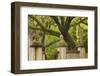 USA, Georgia, Savannah, Entrance to Wormsloe Plantation.-Joanne Wells-Framed Photographic Print