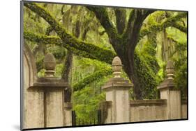 USA, Georgia, Savannah, Entrance to Wormsloe Plantation.-Joanne Wells-Mounted Photographic Print