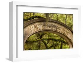 USA, Georgia, Savannah, Entrance to Wormsloe Plantation.-Joanne Wells-Framed Photographic Print