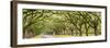 USA, Georgia, Savannah, Entrance to Wormsloe Plantation-Jordan Banks-Framed Photographic Print