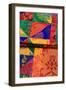 USA; Georgia; Savannah; Fabric from Nepal on display-Joanne Wells-Framed Photographic Print