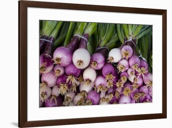 Usa, Georgia, Savannah, Fresh onions at Forsyth Market in downtown Savannah.-Joanne Wells-Framed Premium Photographic Print