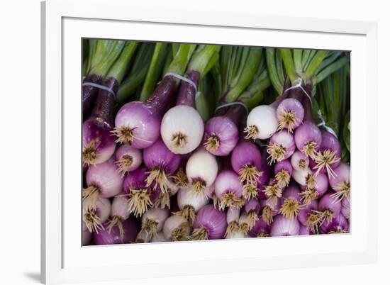 Usa, Georgia, Savannah, Fresh onions at Forsyth Market in downtown Savannah.-Joanne Wells-Framed Premium Photographic Print