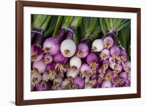 Usa, Georgia, Savannah, Fresh onions at Forsyth Market in downtown Savannah.-Joanne Wells-Framed Premium Photographic Print