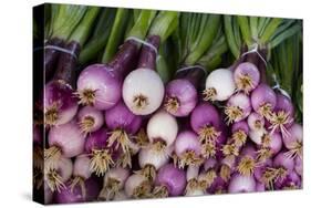 Usa, Georgia, Savannah, Fresh onions at Forsyth Market in downtown Savannah.-Joanne Wells-Stretched Canvas