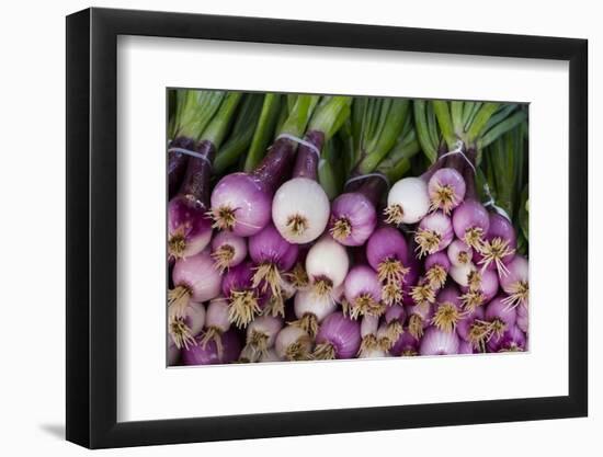 Usa, Georgia, Savannah, Fresh onions at Forsyth Market in downtown Savannah.-Joanne Wells-Framed Premium Photographic Print