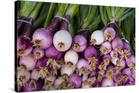 Usa, Georgia, Savannah, Fresh onions at Forsyth Market in downtown Savannah.-Joanne Wells-Stretched Canvas