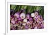 Usa, Georgia, Savannah, Fresh onions at Forsyth Market in downtown Savannah.-Joanne Wells-Framed Photographic Print