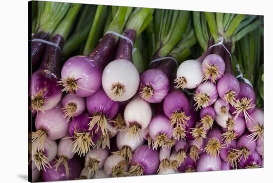 Usa, Georgia, Savannah, Fresh onions at Forsyth Market in downtown Savannah.-Joanne Wells-Stretched Canvas