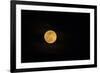USA, Georgia, Savannah. Full moon rising-Joanne Wells-Framed Photographic Print
