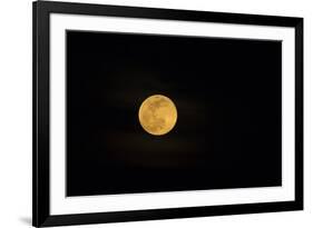 USA, Georgia, Savannah. Full moon rising-Joanne Wells-Framed Photographic Print