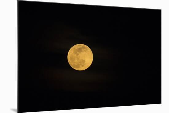 USA, Georgia, Savannah. Full moon rising-Joanne Wells-Mounted Photographic Print