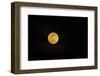 USA, Georgia, Savannah. Full moon rising-Joanne Wells-Framed Photographic Print