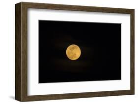 USA, Georgia, Savannah. Full moon rising-Joanne Wells-Framed Photographic Print