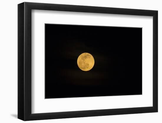 USA, Georgia, Savannah. Full moon rising-Joanne Wells-Framed Photographic Print