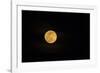 USA, Georgia, Savannah. Full moon rising-Joanne Wells-Framed Photographic Print