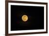 USA, Georgia, Savannah. Full moon rising-Joanne Wells-Framed Photographic Print