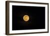 USA, Georgia, Savannah. Full moon rising-Joanne Wells-Framed Photographic Print