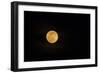 USA, Georgia, Savannah. Full moon rising-Joanne Wells-Framed Photographic Print