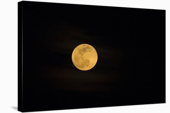 USA, Georgia, Savannah. Full moon rising-Joanne Wells-Stretched Canvas