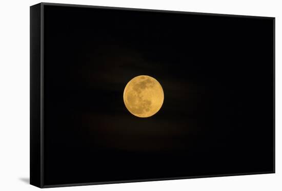USA, Georgia, Savannah. Full moon rising-Joanne Wells-Framed Stretched Canvas