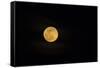 USA, Georgia, Savannah. Full moon rising-Joanne Wells-Framed Stretched Canvas