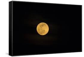 USA, Georgia, Savannah. Full moon rising-Joanne Wells-Framed Stretched Canvas