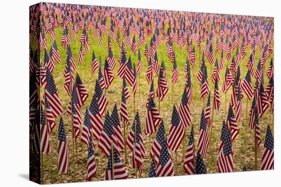 USA, Georgia, Savannah. Memorial Day celebration with American flag.-Joanne Wells-Stretched Canvas