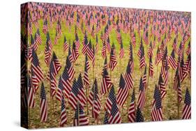 USA, Georgia, Savannah. Memorial Day celebration with American flag.-Joanne Wells-Stretched Canvas