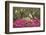 USA, Georgia, Savannah. Oak trees and azaleas at Bonaventure Cemetery in the spring-Joanne Wells-Framed Photographic Print