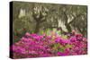 USA, Georgia, Savannah. Oak trees and azaleas at Bonaventure Cemetery in the spring-Joanne Wells-Stretched Canvas