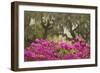 USA, Georgia, Savannah. Oak trees and azaleas at Bonaventure Cemetery in the spring-Joanne Wells-Framed Photographic Print