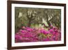 USA, Georgia, Savannah. Oak trees and azaleas at Bonaventure Cemetery in the spring-Joanne Wells-Framed Photographic Print