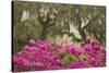 USA, Georgia, Savannah. Oak trees and azaleas at Bonaventure Cemetery in the spring-Joanne Wells-Stretched Canvas