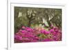 USA, Georgia, Savannah. Oak trees and azaleas at Bonaventure Cemetery in the spring-Joanne Wells-Framed Photographic Print